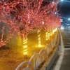 杨晓雪的一亩田店铺
