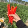 宏达精品果蔬的一亩田店铺