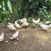 罗斌的一亩田店铺