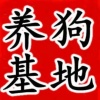 嘉祥高氏养殖场的一亩田店铺