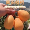 杨丽丽的一亩田店铺
