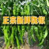 青州市老王蔬菜代办的一亩田店铺