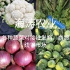 海涛农业的一亩田店铺