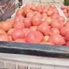 淼淼合作社的一亩田店铺