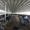 粤满香农牧有限公司的一亩田店铺