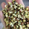 歙县钧英梅菊专业合作社的一亩田店铺