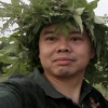 懿宏药材店的一亩田店铺
