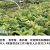 唐晓君的一亩田店铺