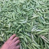 李娜的一亩田店铺