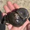 贺海浪的一亩田店铺