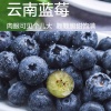 达邦果业的一亩田店铺