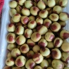 蒙果缘果蔬专业合作社的一亩田店铺