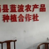蓝波农产品种植专业合作社的一亩田店铺