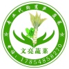 倪氏文亮蔬菜收购服务的一亩田店铺