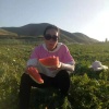李娜诚信全国水果代收代的一亩田店铺