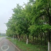 闵达凯的一亩田店铺