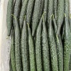 陈利蔬菜批发的一亩田店铺