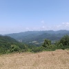刘代群的一亩田店铺