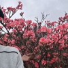 豪翔中药材购销部的一亩田店铺