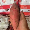 临薯薯薯业的一亩田店铺