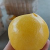 徐铭婕的一亩田店铺