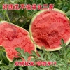 陕西阿栋批发代发蔬果的一亩田店铺