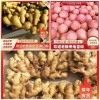 众诚农副产品购销的一亩田店铺