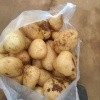 惠百鲜生鲜基地的一亩田店铺
