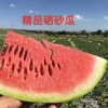 晓龙西瓜代收代发的一亩田店铺