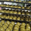 绥中县绿环食品加工厂的一亩田店铺