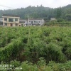 湖北合昇农业的一亩田店铺