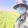 云南小叶蔬菜基地代办的一亩田店铺