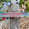 简阳绿源堂家庭农场的一亩田店铺