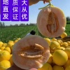 漠尚鲜果产销的一亩田店铺