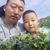 榆林丰鼎农旅农业科技的一亩田店铺