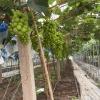 兴耘种植经营部的一亩田店铺