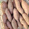 阿强基地果蔬的一亩田店铺