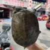 汉寿庭丰水产的一亩田店铺