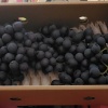 昌黎玫瑰香职业代收代办的一亩田店铺