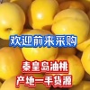 张宝安的一亩田店铺