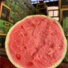 诚信有限公司的一亩田店铺