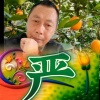 严孝升的一亩田店铺