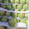 夏邑果蔬产地直发的一亩田店铺