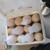 刘文军的一亩田店铺