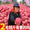 凯浩果蔬购销中心的一亩田店铺