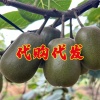众益鲜果的一亩田店铺