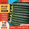 锁太蔬菜购销中心的一亩田店铺