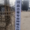 汤阴县志青专业种植合作社的一亩田店铺