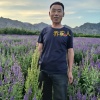 盛源绿化种苗专业合作社的一亩田店铺
