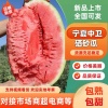 宁夏小贺硒砂瓜代办的一亩田店铺